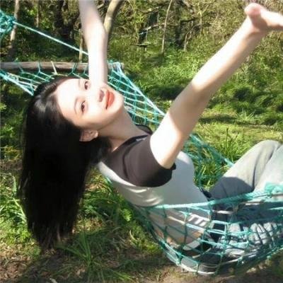 全面搜寻圣诞狗狗
